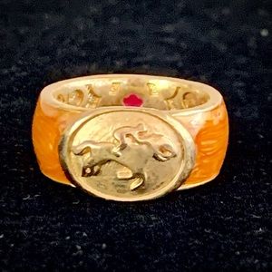 Fashion Jewelry…Equestrian ring